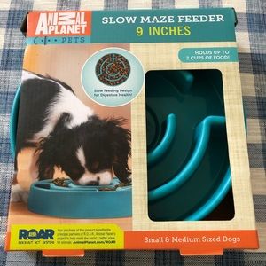 Maze Dog Bowl